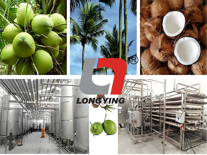 龍應(yīng)鮮榨椰子汁生產(chǎn)線