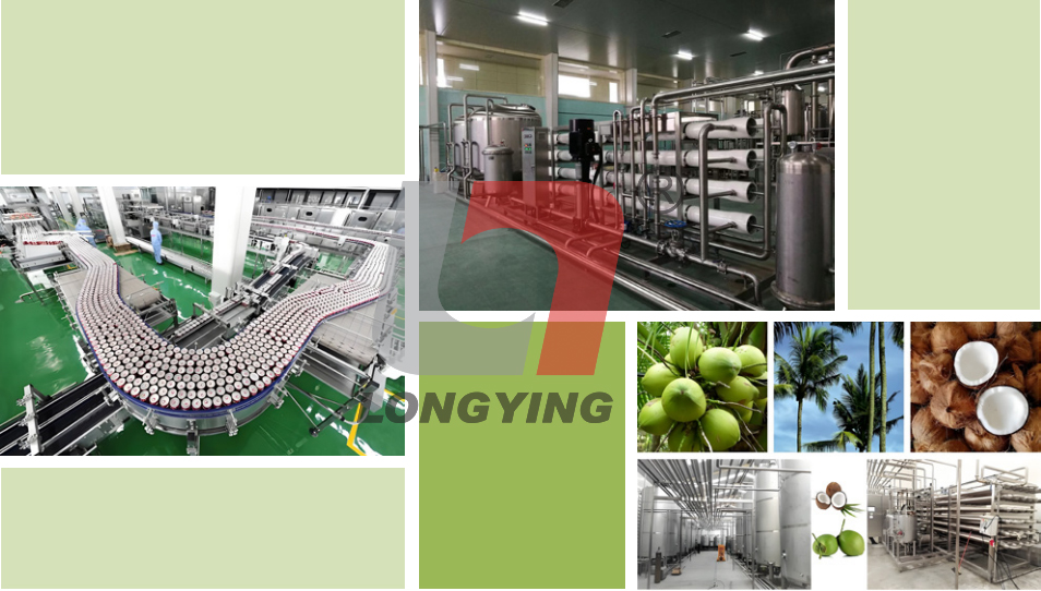 龍應(yīng)椰子汁生產(chǎn)線